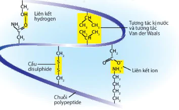 hinh-anh-bai-5-cac-phan-tu-sinh-hoc-12804-20
