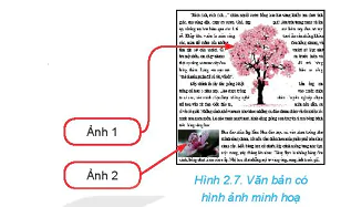 hinh-anh-bai-2-trinh-bay-van-ban-voi-dinh-dang-anh-nang-cao-13391-14