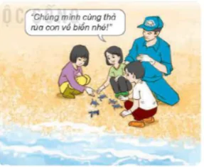 hinh-anh-bai-30-vai-tro-cua-thuc-vat-trong-chuoi-thuc-an-8262-16