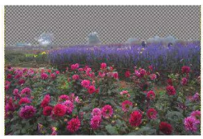 hinh-anh-bai-27-cong-cu-ve-va-mot-so-ung-dung-12144-29