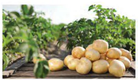 hinh-anh-bai-2-cong-tru-nhan-chia-so-huu-ti-5583-17