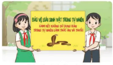 hinh-anh-bai-30-vai-tro-cua-thuc-vat-trong-chuoi-thuc-an-8262-17
