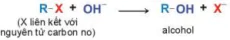 hinh-anh-bai-19-dan-xuat-halogen-13659-18