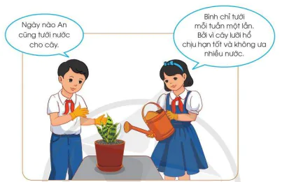 hinh-anh-bai-7-trong-va-cham-soc-cay-canh-trong-chau-10151-19