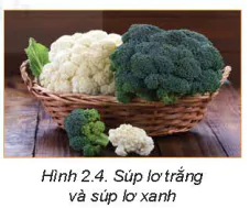 hinh-anh-bai-2-lua-chon-va-bao-quan-thuc-pham-5719-3