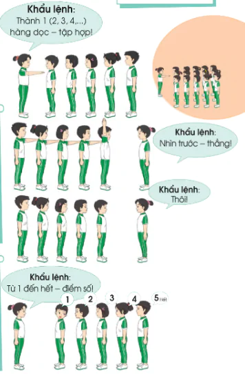 hinh-anh-bai-1-tu-the-dung-nghiem-dung-nghi-tap-hop-hang-doc-dong-hang-diem-so-6211-3