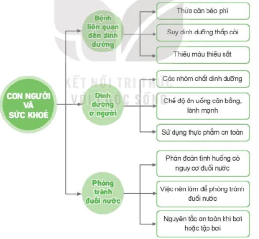 hinh-anh-bai-28-on-tap-chu-de-con-nguoi-va-suc-khoe-8260-0