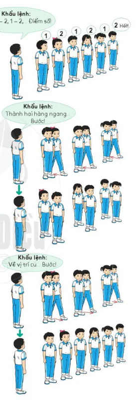 hinh-anh-bai-3-bien-doi-doi-hinh-tu-mot-hang-ngang-thanh-hai-ba-hang-ngang-va-nguoc-lai-9700-2