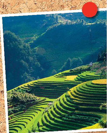 hinh-anh-vocabulary-school-subjects-11410-4