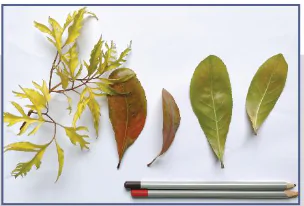 hinh-anh-bai-2-tranh-in-ban-dap-12158-13