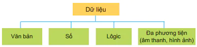 hinh-anh-bai-3-mot-so-kieu-du-lieu-va-du-lieu-van-ban-12180-1
