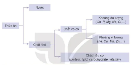 hinh-anh-bai-7-thuc-an-va-nhu-cau-dinh-duong-cua-vat-nuoi-12186-2
