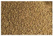 hinh-anh-bai-8-san-xuat-va-che-bien-thuc-an-chan-nuoi-12187-2