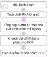 hinh-anh-bai-15-ung-dung-cong-nghe-sinh-hoc-trong-phong-tri-benh-cho-vat-nuoi-12202-2