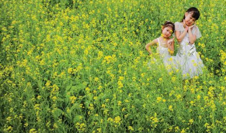 hinh-anh-bai-2-nhung-dieu-can-biet-de-chup-va-thuong-thuc-mot-buc-anh-12272-2