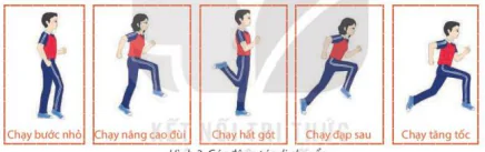 hinh-anh-bai-1-ki-thuat-nhoai-nguoi-do-bong-bang-mot-tay-12279-2