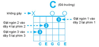 hinh-anh-bai-5-cach-dem-tiet-dieu-waltz-12679-6