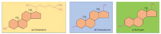 hinh-anh-bai-5-cac-phan-tu-sinh-hoc-12804-13