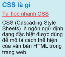 hinh-anh-bai-17-cac-muc-uu-tien-cua-bo-chon-12841-2