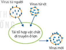 hinh-anh-bai-25-mot-so-benh-do-virus-va-cac-thanh-tuu-nghien-cuu-ung-dung-virus-12882-2
