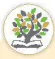 hinh-anh-doc-duong-phu-hanh-bai-hanh-ve-nguoi-thieu-phu-phuong-tay-cao-ba-quat-13127-7
