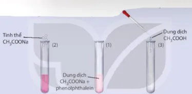 hinh-anh-bai-1-khai-niem-ve-can-bang-hoa-hoc-13171-29