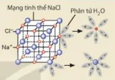 hinh-anh-bai-2-can-bang-trong-dung-dich-nuoc-13177-2