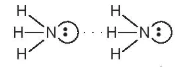 hinh-anh-bai-13-lien-ket-hydrogen-va-tuong-tac-van-der-waals-13481-7