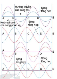 hinh-anh-bai-13-song-dung-13682-4