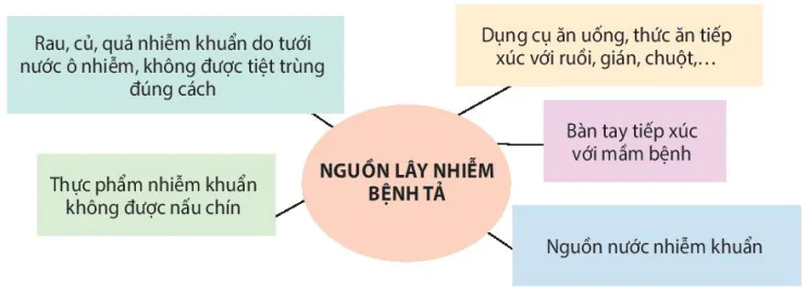 hinh-anh-bai-6-nguyen-nhan-lay-nhiem-benh-dich-o-nguoi-13585-1
