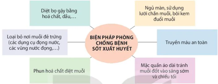 hinh-anh-bai-7-cac-bien-phap-phong-chong-benh-dich-o-nguoi-13586-2