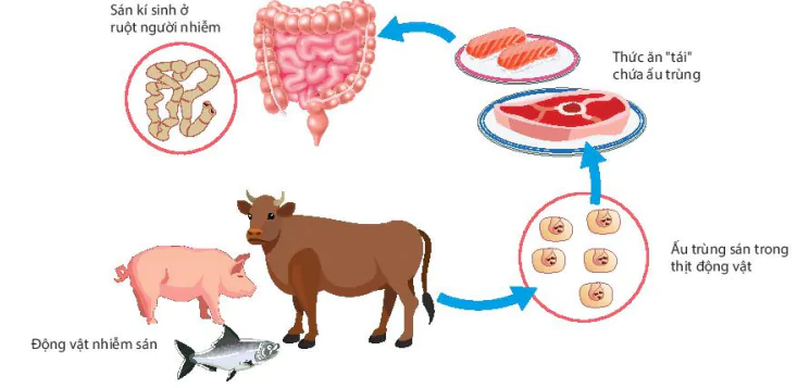 hinh-anh-bai-10-ngo-doc-thuc-pham-13589-2 hinh-anh-bai-10-ngo-doc-thuc-pham-13589-2