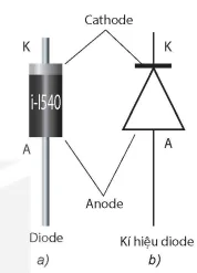 hinh-anh-bai-4-chinh-luu-dong-dien-xoay-chieu-13912-0