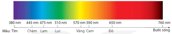 hinh-anh-bai-11-quang-pho-vach-cua-nguyen-tu-13919-3