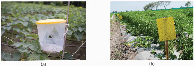 hinh-anh-bai-6-cac-bien-phap-kiem-soat-sinh-hoc-13941-11 hinh-anh-bai-6-cac-bien-phap-kiem-soat-sinh-hoc-13941-11