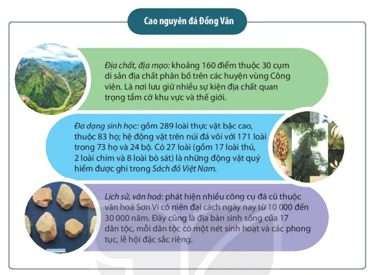 hinh-anh-iii-mot-so-di-san-van-hoa-tieu-bieu-o-viet-nam-13724-18