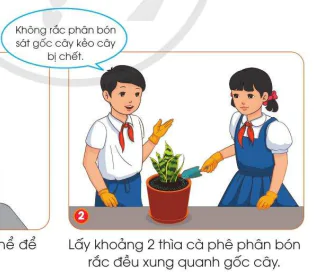 hinh-anh-bai-7-trong-va-cham-soc-cay-canh-trong-chau-10151-21