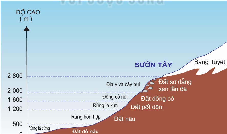 hinh-anh-bai-16-thuc-hanh-tim-hieu-su-phan-bo-dat-va-sinh-vat-tren-trai-dat-12037-24