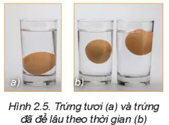hinh-anh-bai-2-lua-chon-va-bao-quan-thuc-pham-5719-4