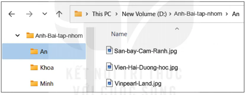 hinh-anh-bai-4-cay-thu-muc-5991-4