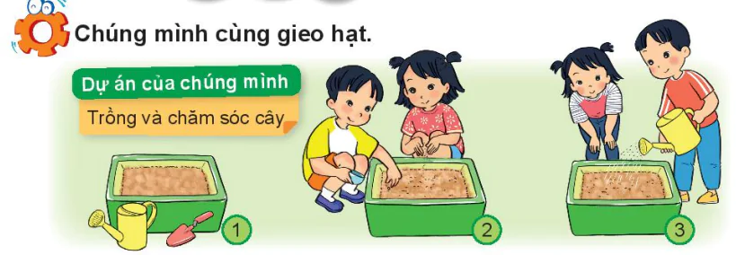 hinh-anh-bai-15-cay-xung-quanh-em-6736-2