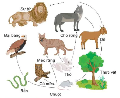 hinh-anh-bai-38-da-dang-sinh-hoc-7893-4