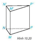 hinh-anh-bai-37-hinh-lang-tru-dung-tam-giac-va-hinh-lang-tru-dung-tu-giac-9587-3