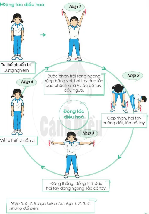 hinh-anh-bai-4-dong-tac-nhay-va-dong-tac-dieu-hoa-9747-3