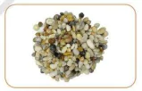hinh-anh-bai-7-trong-va-cham-soc-cay-canh-trong-chau-10151-3