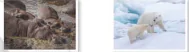 hinh-anh-stop-and-check-10249-3 hinh-anh-stop-and-check-10249-3