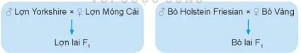 hinh-anh-bai-5-nhan-giong-vat-nuoi-12108-3