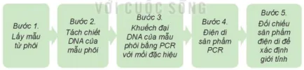 hinh-anh-bai-6-ung-dung-cong-nghe-sinh-hoc-trong-chon-va-nhan-giong-vat-nuoi-12109-3