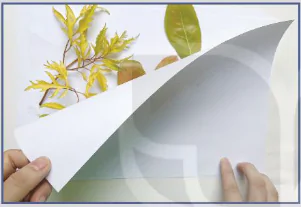 hinh-anh-bai-2-tranh-in-ban-dap-12158-15