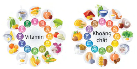 hinh-anh-chu-de-su-dung-cac-yeu-to-tu-nhien-va-dinh-duong-de-ren-luyen-suc-khoe-va-phat-trien-the-chat-12723-3